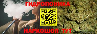гидропоника Бийск