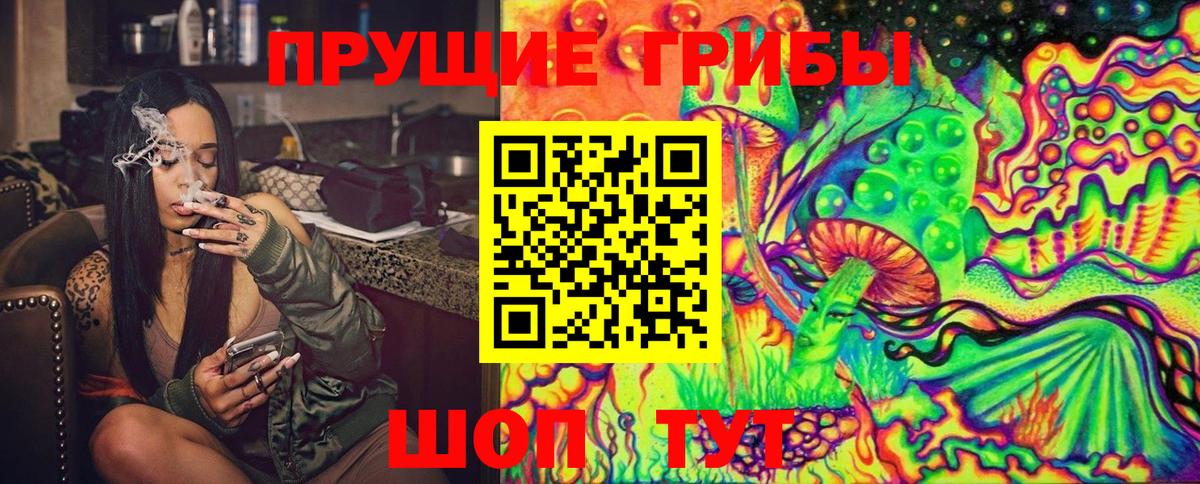 Галлюциногенные грибы GOLDEN TEACHER  Вход с VPN  Зеленокумск 