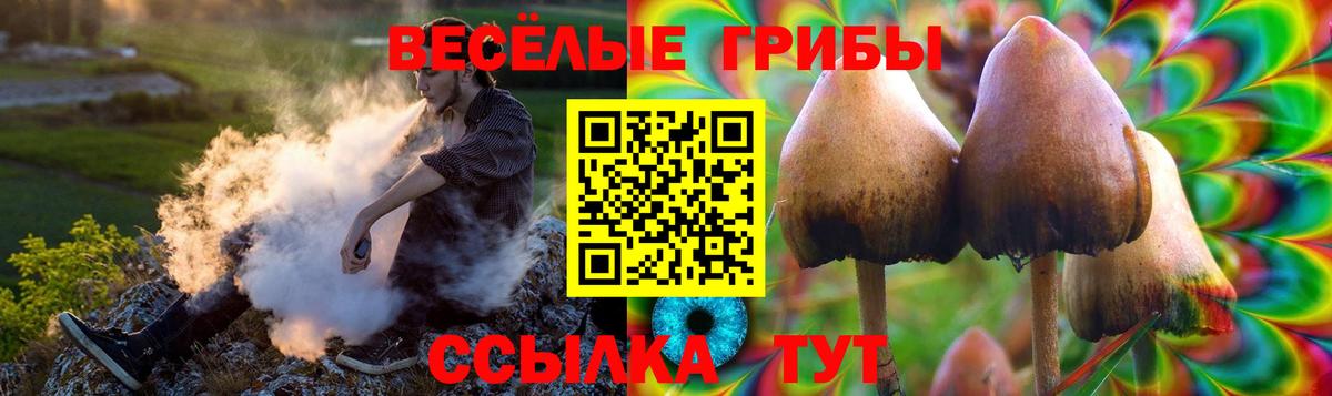 Галлюциногенные грибы ЛСД Зеленокумск